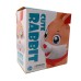 FUNNY RABBIT