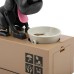COFRE CACHORRO PEGA MOEDA MTC101