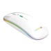MOUSE LUMINOSO E1200