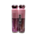 Brilho Labial BOX C/24 Un Toque Special